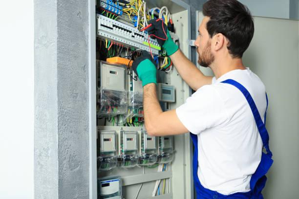 Best Electric Panel Repair  in Troup, TX